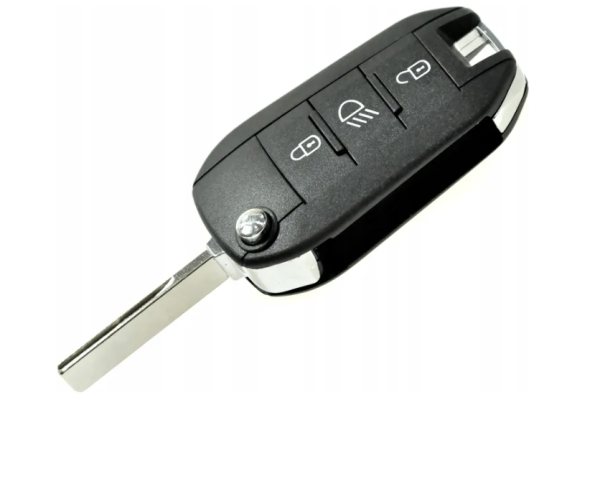 Citroen key 1