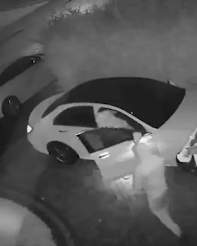 relay car theft keyless car theft